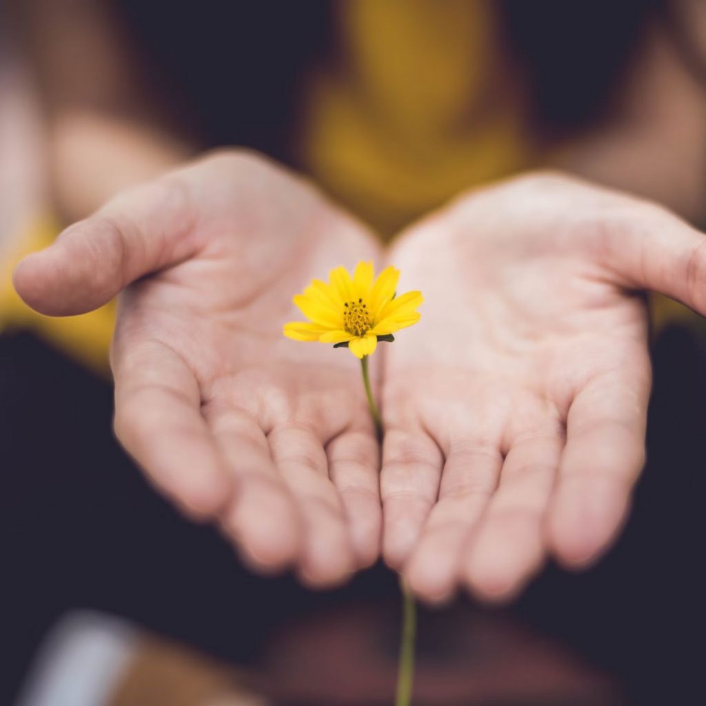 Manos ofreciendo una flor amarilla como símbolo de apoyo emocional y cuidado personal